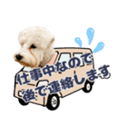 ルンルン♪①（個別スタンプ：18）