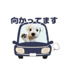 ルンルン♪①（個別スタンプ：19）