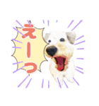 ルンルン♪①（個別スタンプ：22）