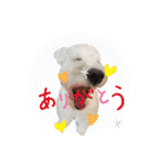 ルンルン♪①（個別スタンプ：23）