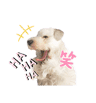 ルンルン♪①（個別スタンプ：24）