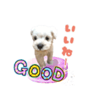 ルンルン♪①（個別スタンプ：25）