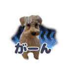 ルンルン♪①（個別スタンプ：26）