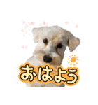 ルンルン♪①（個別スタンプ：27）