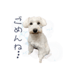 ルンルン♪①（個別スタンプ：31）