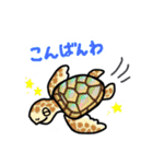 毎日使える！かわいい水族館の生き物たち（個別スタンプ：3）
