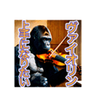 【ヴァイオリン】を演奏するゴリラさん（個別スタンプ：6）