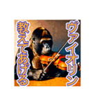 【ヴァイオリン】を演奏するゴリラさん（個別スタンプ：9）