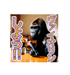 【ヴァイオリン】を演奏するゴリラさん（個別スタンプ：14）