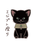 ふさふさ！猫用語集（個別スタンプ：4）
