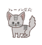ふさふさ！猫用語集（個別スタンプ：6）