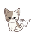 ふさふさ！猫用語集（個別スタンプ：7）