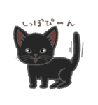 ふさふさ！猫用語集（個別スタンプ：9）