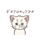 ふさふさ！猫用語集（個別スタンプ：12）