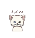 ふさふさ！猫用語集（個別スタンプ：13）