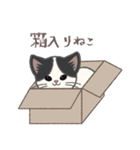 ふさふさ！猫用語集（個別スタンプ：17）