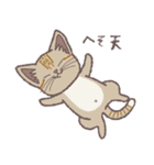 ふさふさ！猫用語集（個別スタンプ：20）