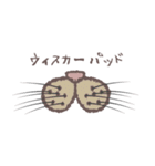 ふさふさ！猫用語集（個別スタンプ：23）