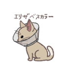 ふさふさ！猫用語集（個別スタンプ：25）