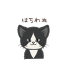 ふさふさ！猫用語集（個別スタンプ：26）