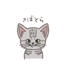 ふさふさ！猫用語集（個別スタンプ：27）