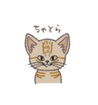 ふさふさ！猫用語集（個別スタンプ：29）