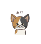 ふさふさ！猫用語集（個別スタンプ：30）