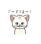 ふさふさ！猫用語集（個別スタンプ：32）
