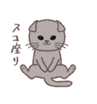 ふさふさ！猫用語集（個別スタンプ：34）