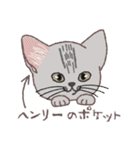 ふさふさ！猫用語集（個別スタンプ：37）