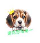 ビーグルだわん（個別スタンプ：10）