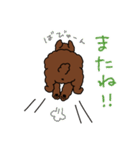 トイプードルのお豆ちゃんスタンプ（個別スタンプ：3）