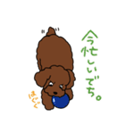 トイプードルのお豆ちゃんスタンプ（個別スタンプ：5）