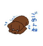 トイプードルのお豆ちゃんスタンプ（個別スタンプ：8）