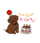 トイプードルのお豆ちゃんスタンプ（個別スタンプ：14）