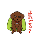 トイプードルのお豆ちゃんスタンプ（個別スタンプ：22）