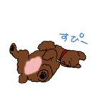 トイプードルのお豆ちゃんスタンプ（個別スタンプ：23）