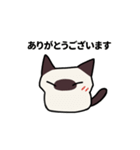 気持ち伝えるシャム猫スタンプ（個別スタンプ：5）
