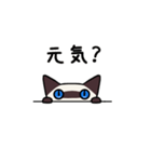 気持ち伝えるシャム猫スタンプ（個別スタンプ：7）