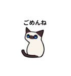 気持ち伝えるシャム猫スタンプ（個別スタンプ：16）