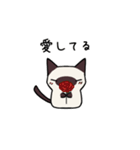 気持ち伝えるシャム猫スタンプ（個別スタンプ：18）