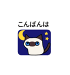 気持ち伝えるシャム猫スタンプ（個別スタンプ：20）