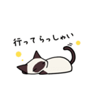 気持ち伝えるシャム猫スタンプ（個別スタンプ：22）