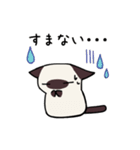 気持ち伝えるシャム猫スタンプ（個別スタンプ：24）