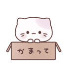 寂しがり屋のましゅまろねこちゃん（個別スタンプ：16）