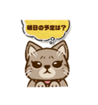 にゃんこのきのこ（個別スタンプ：5）