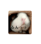 壁ぎわのぽっぽちゃん 02（個別スタンプ：8）
