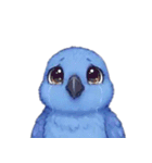 青いインコそらスタンプ（個別スタンプ：7）