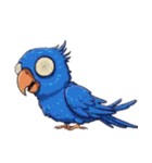 青いインコそらスタンプ（個別スタンプ：10）