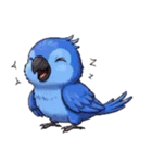 青いインコそらスタンプ（個別スタンプ：21）